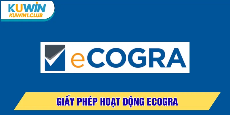 giấy phép hoạt động ecogra